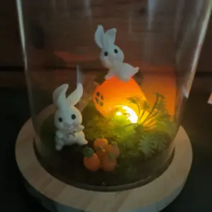la maison carotte et son potager