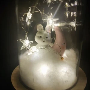 Nos créations Lunelle illuminée