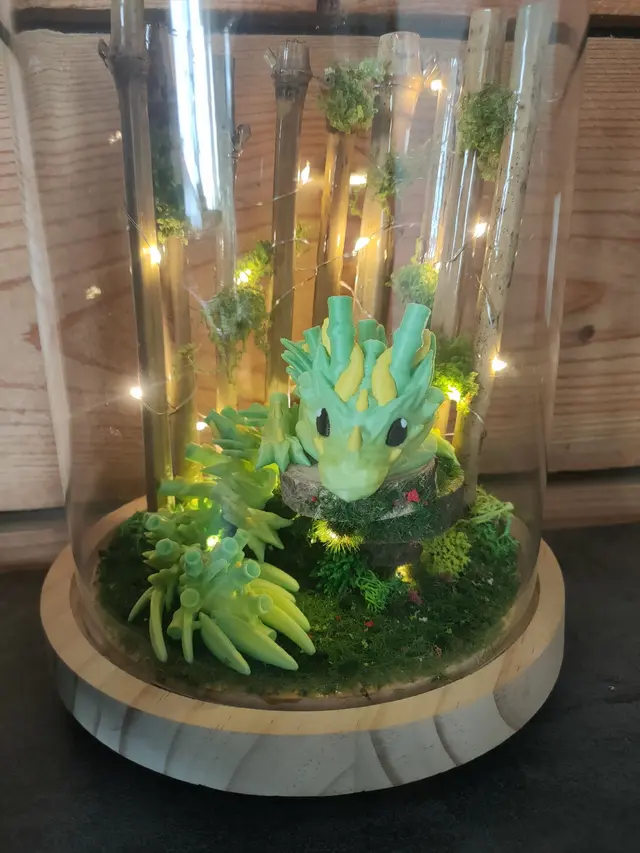 Le souffle des bambous : un dragon des mousses pour apaiser les nuits SBE