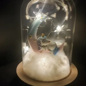 Nos créations Lunéa illuminée