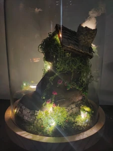 La Maison qui rêvait des arbres — vue 1
